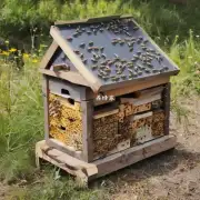 你最喜欢哪个材料的蜜蜂箱?