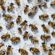 蜜蜂卵在冬天如何进行呼吸?