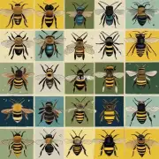 如何识别蜜蜂的种类?