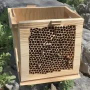 如何制作蜜蜂箱加巢皮?