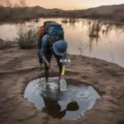 它们在迷路过程中是如何寻找水源的?