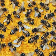 Why do bees find honey so irresistible?