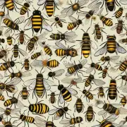 哪些是蜜蜂名字的常见名称?