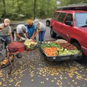 它们如何寻找食物的路线?