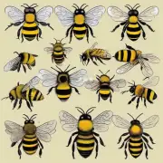 蜜蜂采蜜时如何识别不同的植物?