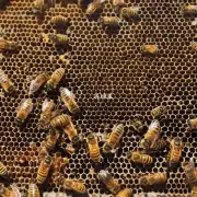 蜂窝材料如何保护蜜蜂的呼吸道?