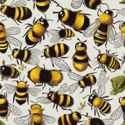 哪些是蜜蜂名字的常见词语?