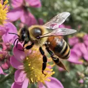 蜜蜂如何使用关键指标来评估组织?