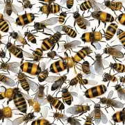 如何才能找到蜜蜂的威胁因素?