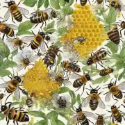 蜜蜂采蜜时如何选择不同的植物?