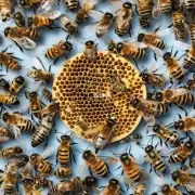 不同大小的蜜蜂蛰肿胀的时间如何?