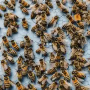 它们为什么要养蜜蜂的目的是什么?