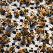为什么要用蜜蜂作为招蜜蜂的象征?