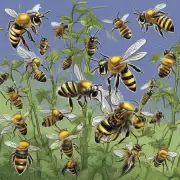 蜜蜂躲着马蜂窝的原因是什么?