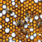 为什么蜜蜂糖会在不同的温度下凝结颜色不同?