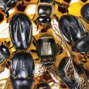 蜜蜂护脾的材料有哪些?