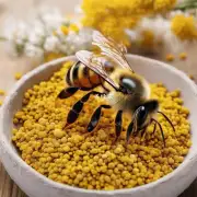 如何利用蜜蜂的花粉?