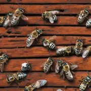 如何将蜜蜂变硬块应用于不同的家具材料?
