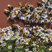 蜜蜂是如何避免被捕的?