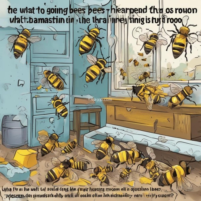 第四个问题蜜蜂一进房间里会发生什么改变吗?