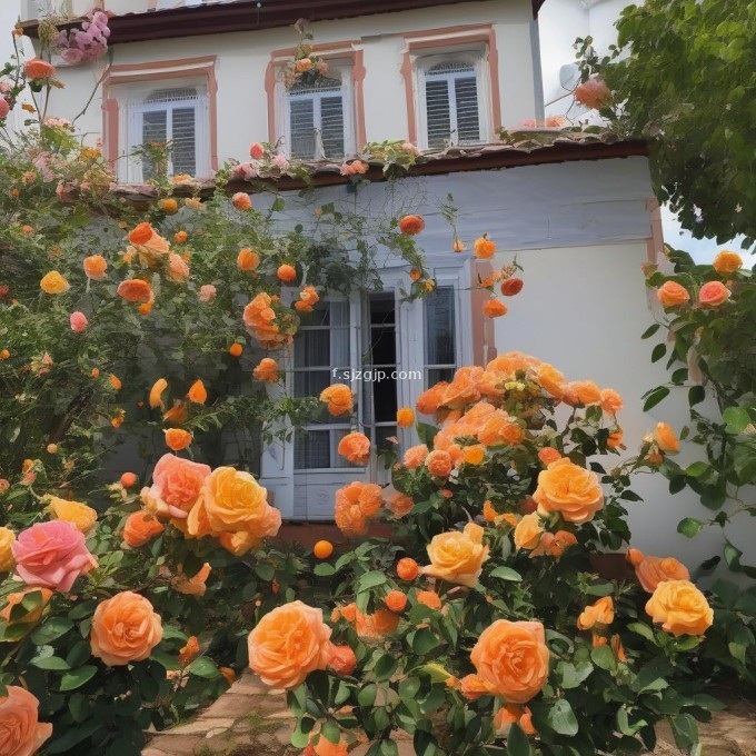 使用玫瑰和橙花香调的香水会吸引蜜蜂进屋吗?
