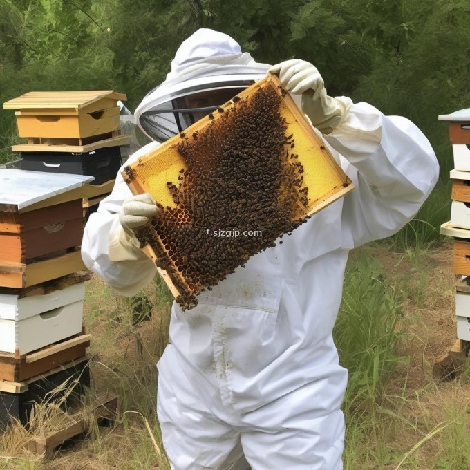 不同年份养蜂是否对养蜂的效果产生影响?