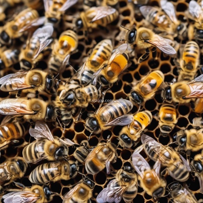 当蜜蜂幼虫开始在其他成年蜜蜂的示范下学习时它们学会了觅食行为和与蜂群其他成员互动的方式在蜂巢内幼虫通过形成一层外壳来保持体温恒定并防止外界影响因此问题29蜜蜂幼虫如何保护自己的身体免受外部环境的影响?