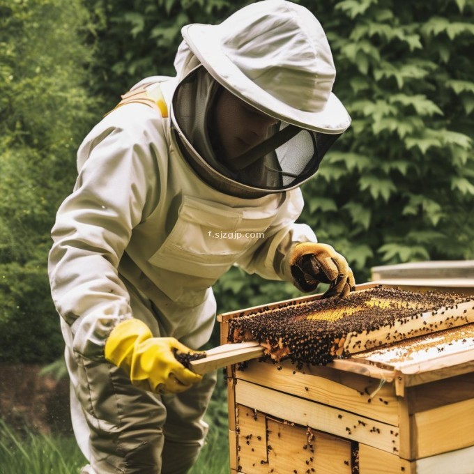 养蜂会危及人身安全吗?