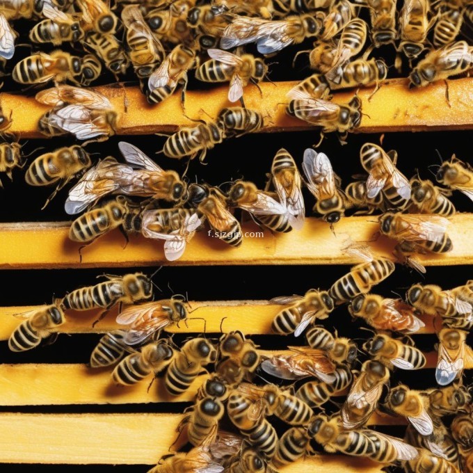 蜂窝对蜜蜂幼虫非常重要因为它提供了一个安全温暖且稳定的环境在蜂巢中蜜蜂幼虫可以快速成长并得到充分的食物和保护没有蜂巢作为幼虫栖息所的话这些幼虫会面临许多威胁如气温过高或过低食物不充足等因此问题7蜜蜂幼虫如何适应蜂窝中的生活?
