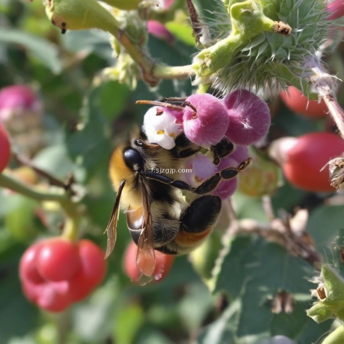 如果蜜蜂在水果上停留了一段时间后离开那它们是否已经采集到了所需的食物吗?