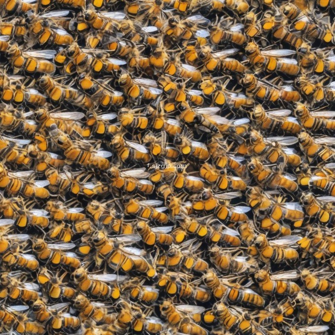 在室外养蜂场地方的冬季蜜蜂如何保温?