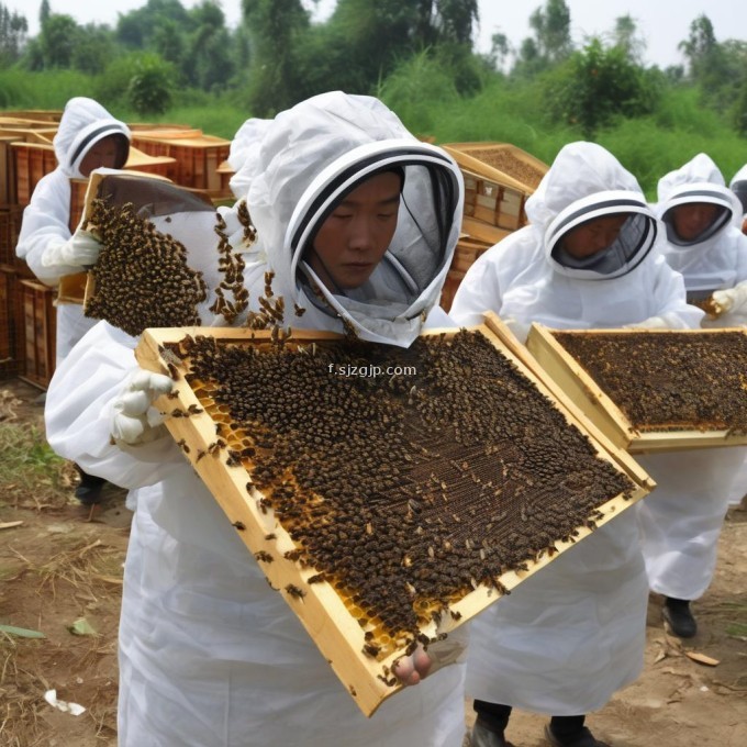首先要明确的是在使用双王箱时你需要对蜜蜂有一定的了解才能确保它们能够存活并生产出高质量的蜂蜜十三五规划中华人民共和国发展和改革委员会关于促进乡村振兴战略实施的意见中规定了加强农业供给侧结构性改革的目标任务提出了到2025年实现农产品主产区现代化农村人居环境优化改善等关键指标其中就包括蜜蜂养殖那么在使用双王箱来养蜂之前我们应该先了解哪些方面的知识呢?