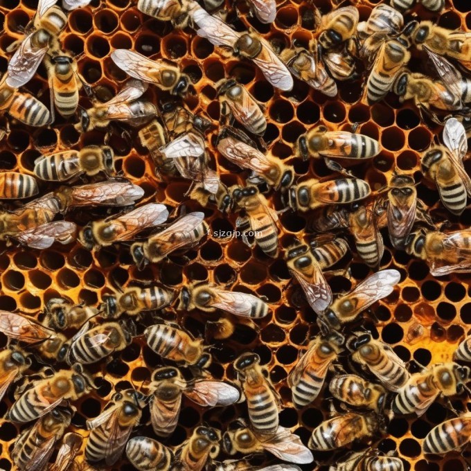 蜜蜂在被热坏后会发生什么变化?
