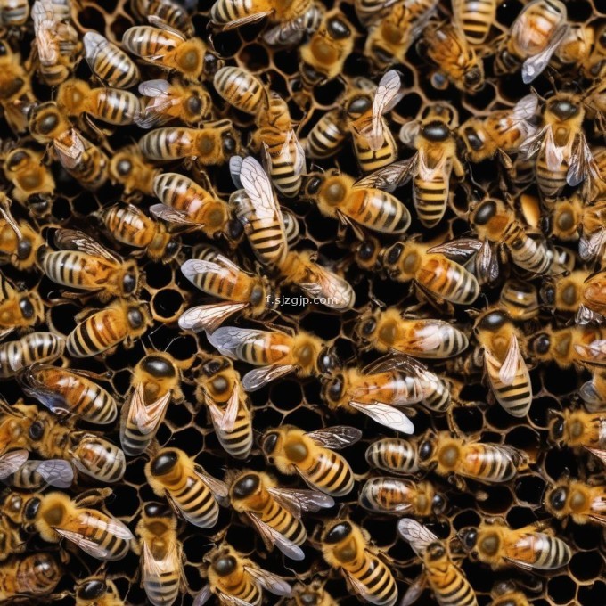 当蜜蜂幼虫开始在其他成年蜜蜂的示范下学习时它们学会了觅食行为和与蜂群其他成员互动的方式在蜂巢内幼虫通过形成一层外壳来保持体温恒定并防止外界影响因此问题28蜜蜂幼虫如何保护自己的身体免受外部环境的影响?
