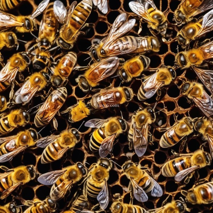 蜜蜂热坏对蜜蜂生产有何影响?