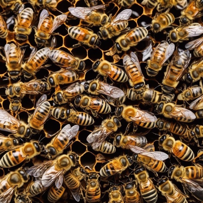 当蜜蜂幼虫开始在其他成年蜜蜂的示范下学习时它们学会了觅食行为和与蜂群其他成员互动的方式在蜂巢内幼虫通过形成一层外壳来保持体温恒定并防止外界影响因此问题18蜜蜂幼虫如何保护自己的身体免受外部环境的影响?