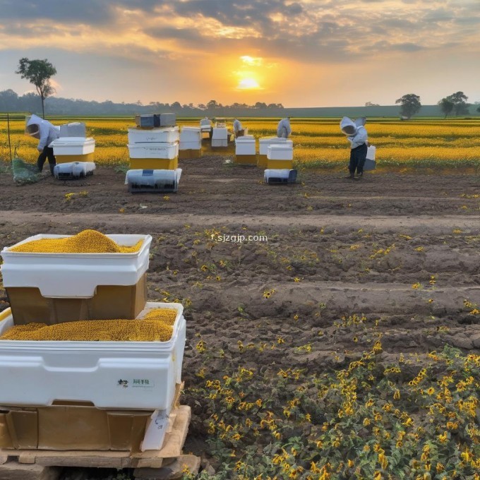 蜜蜂热坏会对蜂农有怎样的经济效益?