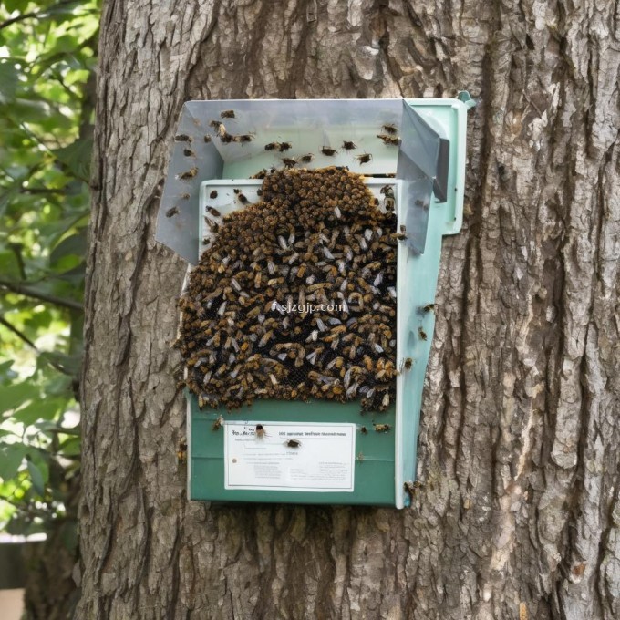 如果我收到蜜蜂在树上停留不走的情况可以采取哪些措施防止它们沾果汁或汁液吗?