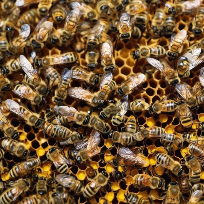 的问题是如何让刚刚孵化出来的蜜蜂能够正常进食?