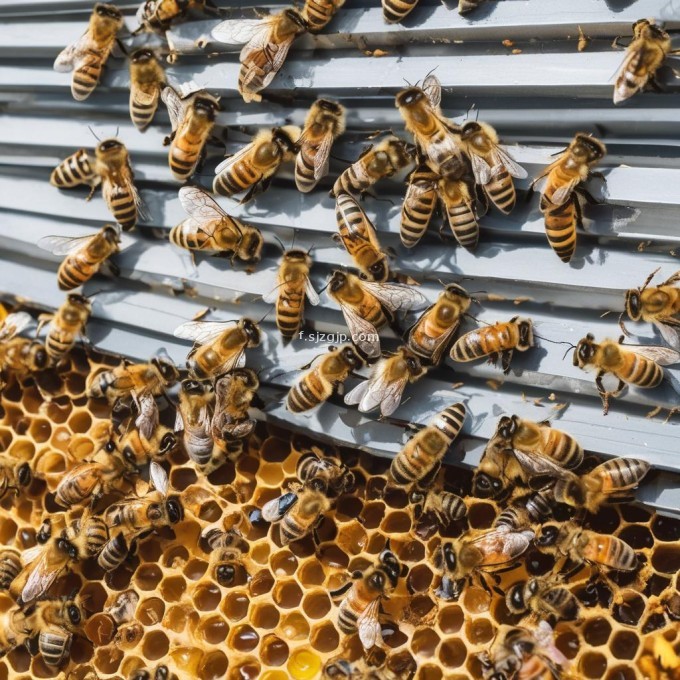 如果您的蜜蜂不产蜜应该怎么做?