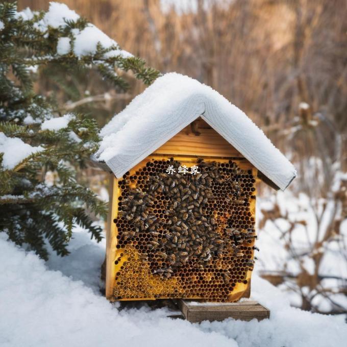 如何防止蜜蜂在冬季死亡?