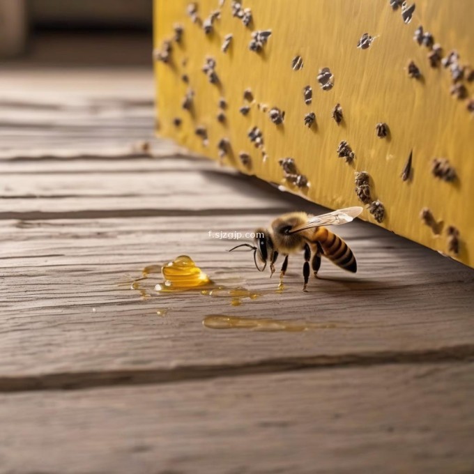 门前有蜜蜂用什么工具采蜜最快?
