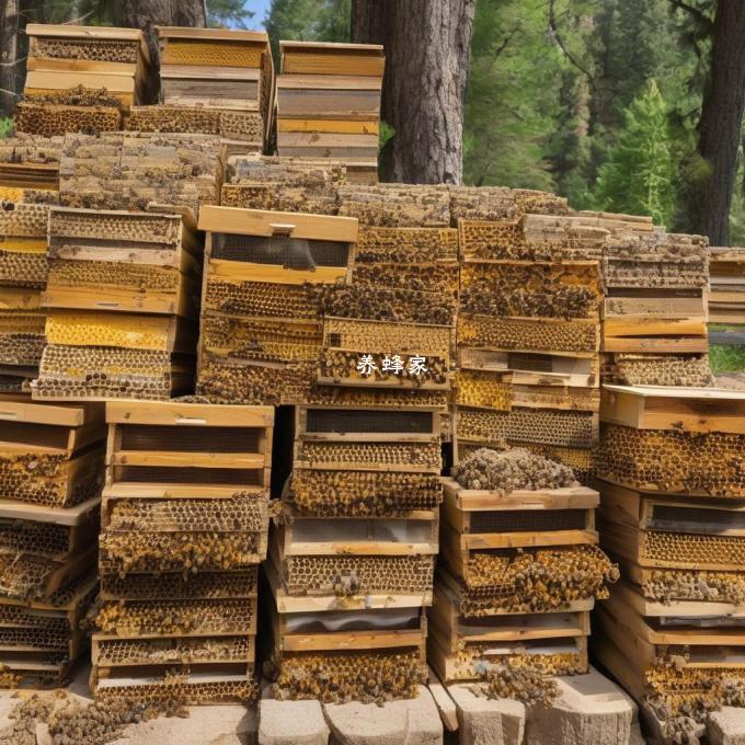 建造一座大型蜂巢时有多少块蜂蜡被用于制作蜜蜂食料?