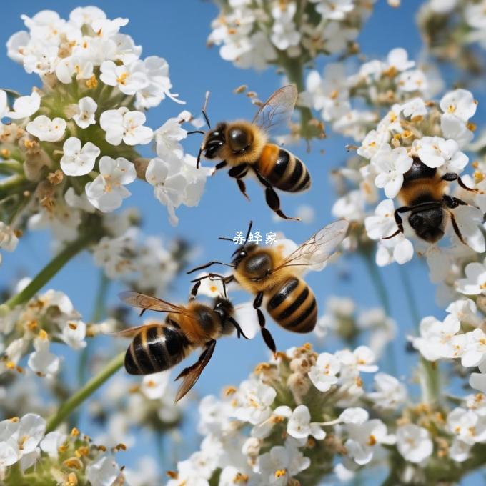 What are the different types of bees in a hive?